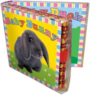 Baby Bunny